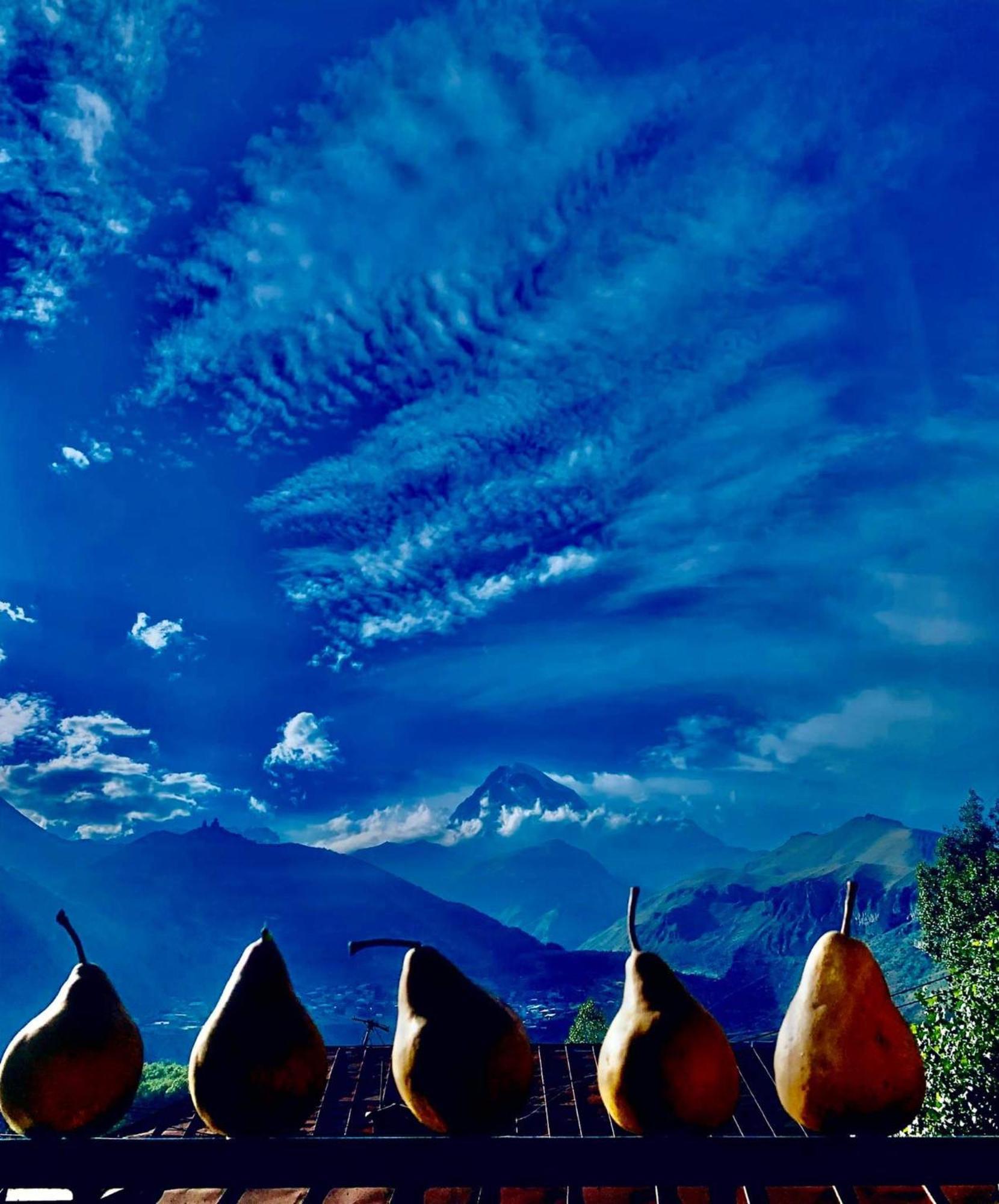 Sunny Guesthouse Kazbegi Ngoại thất bức ảnh
